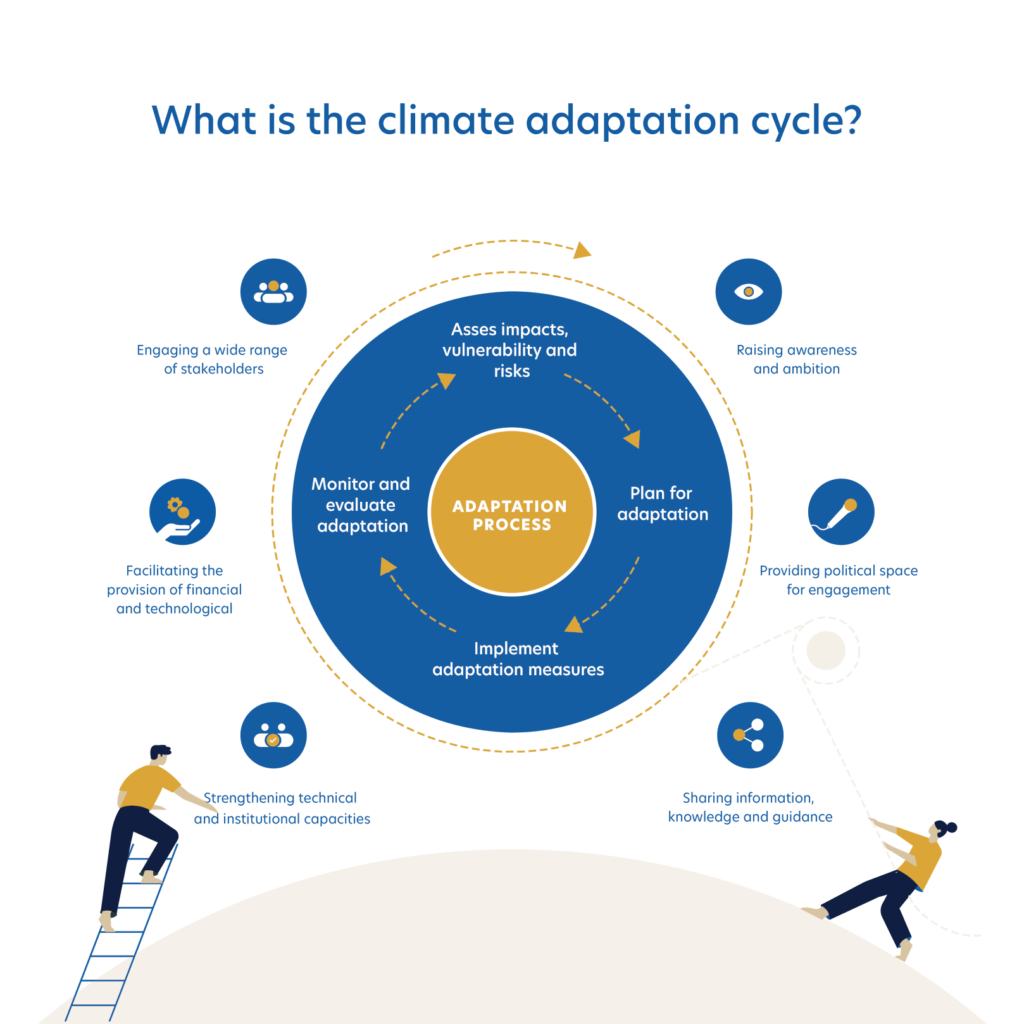 The climate adaptation cycle. | Infographic: REVOLVE