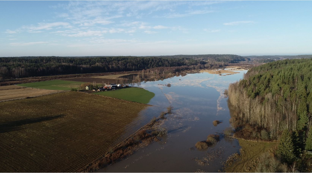 Winter flood November 2019 in the river Perniönjoki in Salo Southwest Finland. Photo by: Ilkka Myllyoja