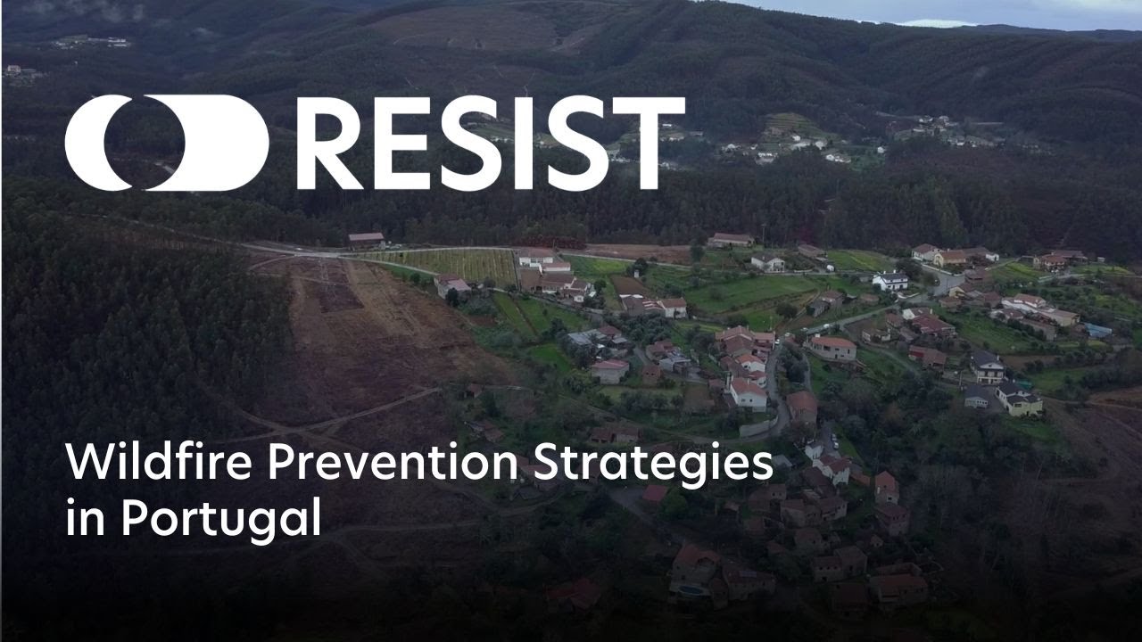 Igniting Wildfire Prevention Strategies in Portugal
